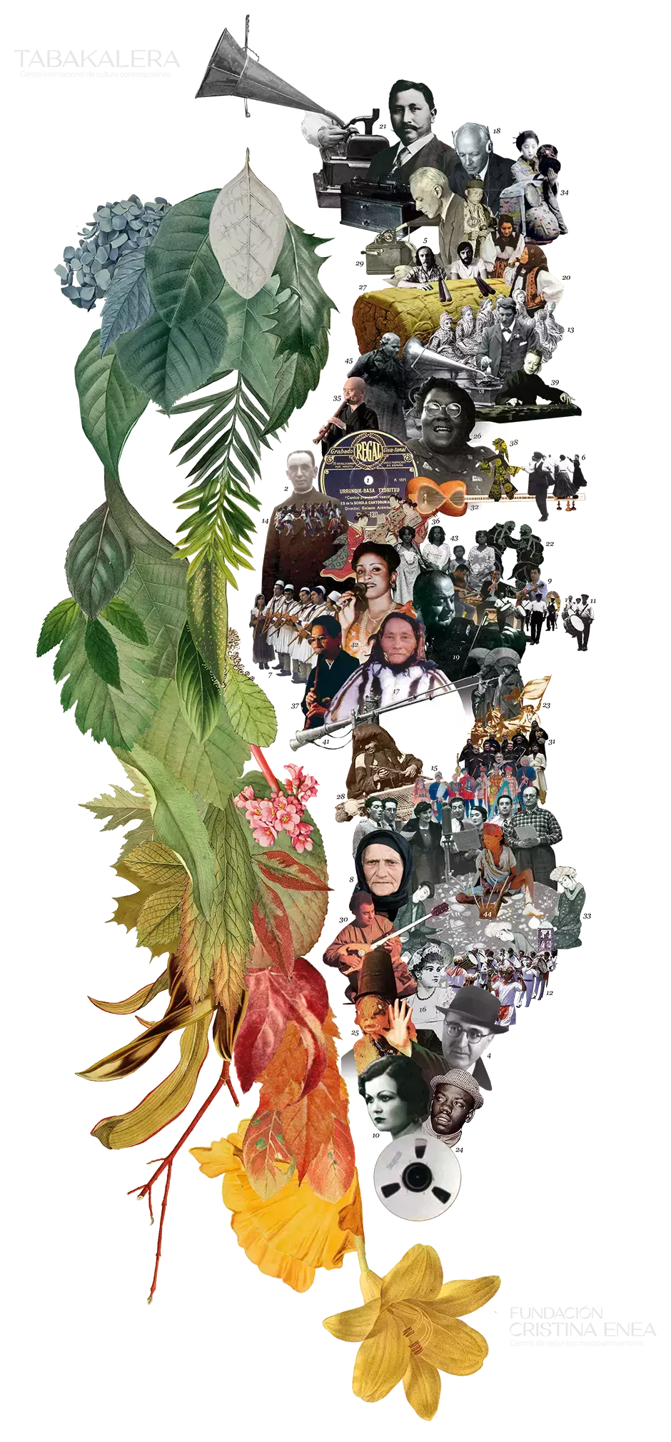collage